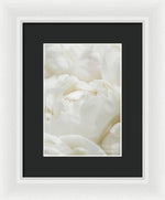 Load image into Gallery viewer, Close up of Peonies - Framed Print
