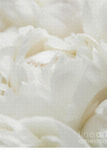 Load image into Gallery viewer, Close up of Peonies - Puzzle
