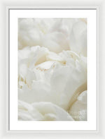 Load image into Gallery viewer, Close up of Peonies - Framed Print
