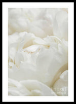 Load image into Gallery viewer, Close up of Peonies - Framed Print
