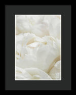 Load image into Gallery viewer, Close up of Peonies - Framed Print
