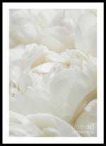 Load image into Gallery viewer, Close up of Peonies - Framed Print
