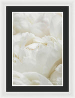 Load image into Gallery viewer, Close up of Peonies - Framed Print
