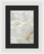 Load image into Gallery viewer, Close up of Peonies - Framed Print
