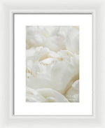 Load image into Gallery viewer, Close up of Peonies - Framed Print
