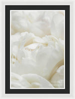 Load image into Gallery viewer, Close up of Peonies - Framed Print
