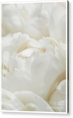 Load image into Gallery viewer, Close up of Peonies - Acrylic Print
