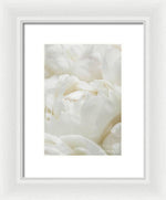 Load image into Gallery viewer, Close up of Peonies - Framed Print
