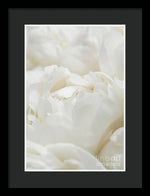 Load image into Gallery viewer, Close up of Peonies - Framed Print

