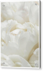 Load image into Gallery viewer, Close up of Peonies - Acrylic Print
