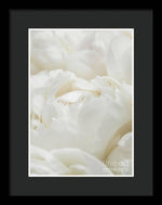 Load image into Gallery viewer, Close up of Peonies - Framed Print
