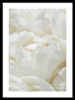 Load image into Gallery viewer, Close up of Peonies - Framed Print
