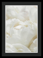 Load image into Gallery viewer, Close up of Peonies - Framed Print
