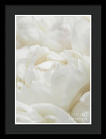 Load image into Gallery viewer, Close up of Peonies - Framed Print
