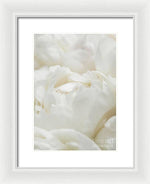 Load image into Gallery viewer, Close up of Peonies - Framed Print
