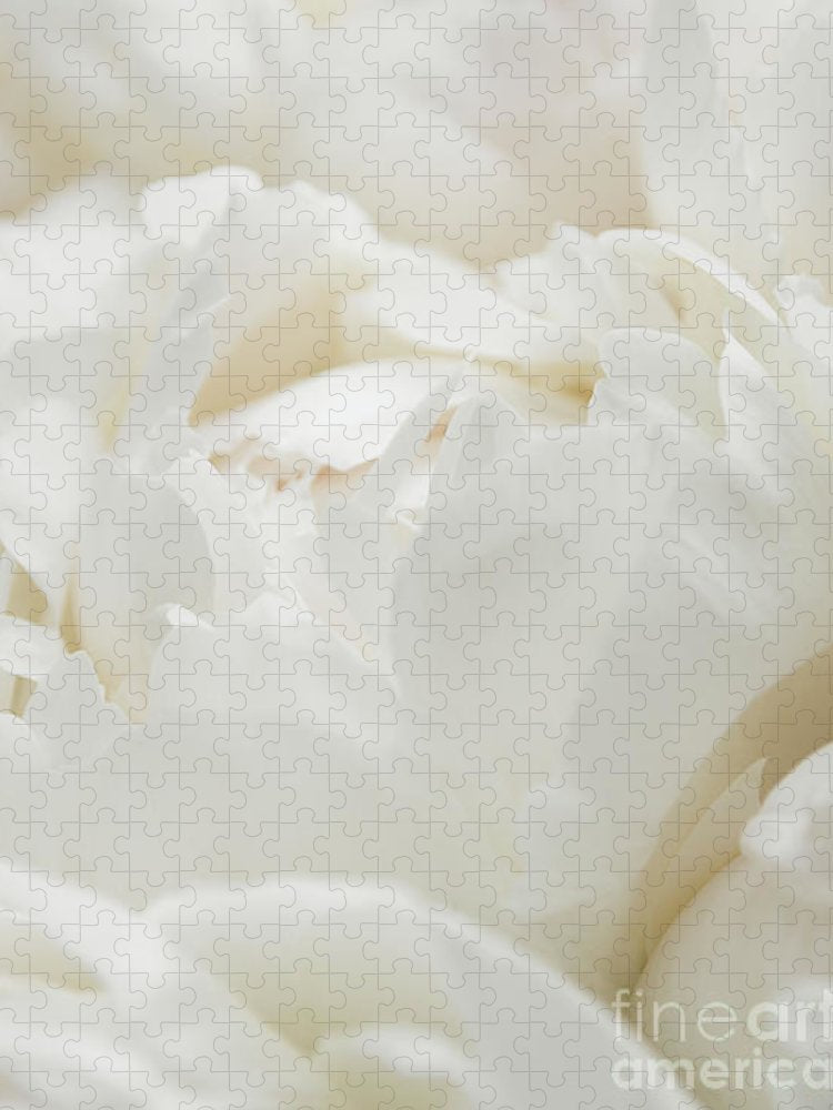 Close up of Peonies - Puzzle