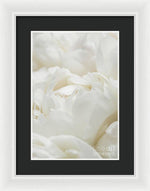 Load image into Gallery viewer, Close up of Peonies - Framed Print
