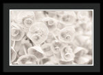 Load image into Gallery viewer, Flowers within Flowers - Framed Print
