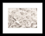 Load image into Gallery viewer, Flowers within Flowers - Framed Print
