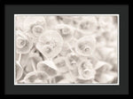 Load image into Gallery viewer, Flowers within Flowers - Framed Print
