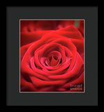 Load image into Gallery viewer, Red Roses - Grand Prix - Framed Print
