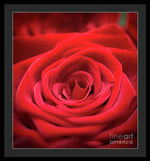 Load image into Gallery viewer, Red Roses - Grand Prix - Framed Print
