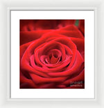 Load image into Gallery viewer, Red Roses - Grand Prix - Framed Print
