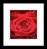 Load image into Gallery viewer, Red Roses - Grand Prix - Framed Print
