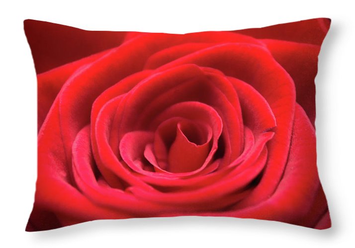 Red Roses - Grand Prix - Throw Pillow