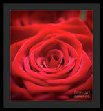 Load image into Gallery viewer, Red Roses - Grand Prix - Framed Print
