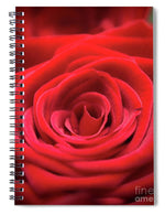 Load image into Gallery viewer, Red Roses - Grand Prix - Spiral Notebook
