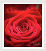 Load image into Gallery viewer, Red Roses - Grand Prix - Framed Print
