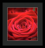 Load image into Gallery viewer, Red Roses - Grand Prix - Framed Print
