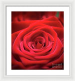 Load image into Gallery viewer, Red Roses - Grand Prix - Framed Print
