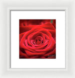 Load image into Gallery viewer, Red Roses - Grand Prix - Framed Print
