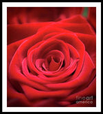 Load image into Gallery viewer, Red Roses - Grand Prix - Framed Print
