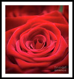 Load image into Gallery viewer, Red Roses - Grand Prix - Framed Print
