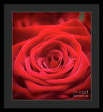 Load image into Gallery viewer, Red Roses - Grand Prix - Framed Print
