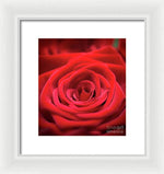 Load image into Gallery viewer, Red Roses - Grand Prix - Framed Print
