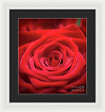 Load image into Gallery viewer, Red Roses - Grand Prix - Framed Print
