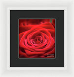Load image into Gallery viewer, Red Roses - Grand Prix - Framed Print
