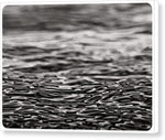 Load image into Gallery viewer, Thames ripples 02 - Canvas Print
