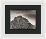 Load image into Gallery viewer, A Mountain of Trees - Framed Print
