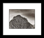Load image into Gallery viewer, A Mountain of Trees - Framed Print
