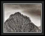 Load image into Gallery viewer, A Mountain of Trees - Framed Print
