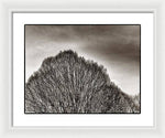 Load image into Gallery viewer, A Mountain of Trees - Framed Print
