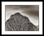 Load image into Gallery viewer, A Mountain of Trees - Framed Print
