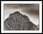 Load image into Gallery viewer, A Mountain of Trees - Framed Print

