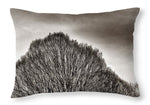 Load image into Gallery viewer, A Mountain of Trees - Throw Pillow
