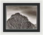 Load image into Gallery viewer, A Mountain of Trees - Framed Print

